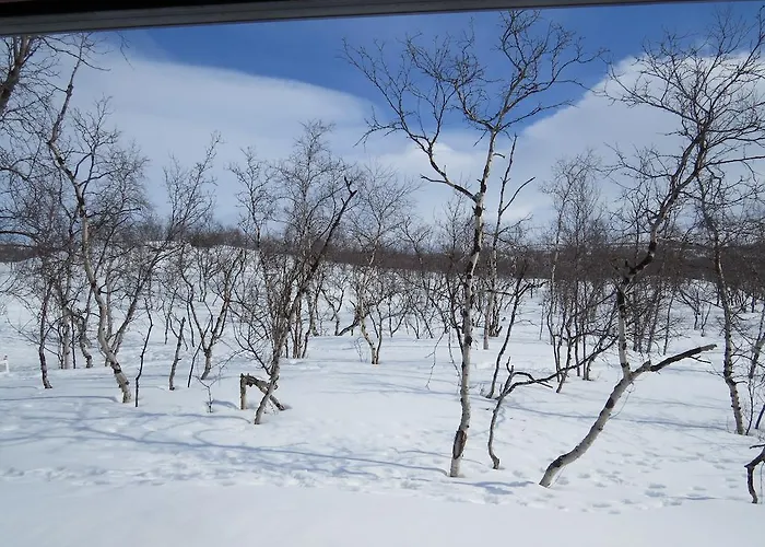 Arctic Polar Village 3*