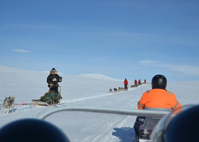 Arctic Polar Village Kompleks wypoczynkowy