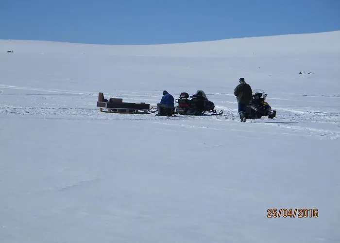 Arctic Polar Village ホリデーパーク キルピスヤルヴィ